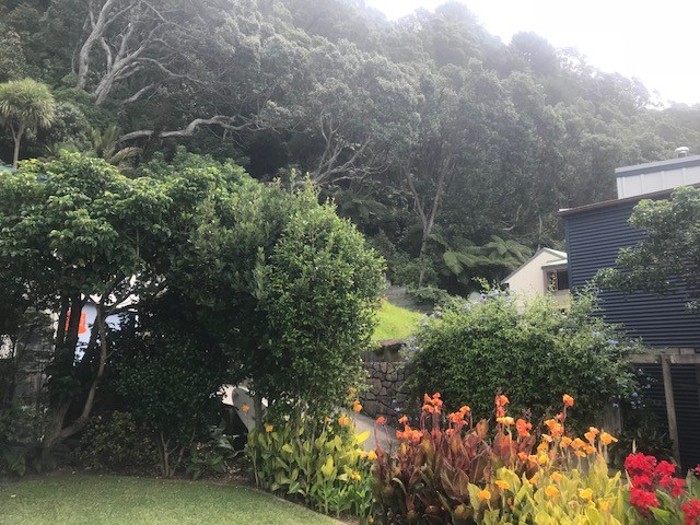 View out to back and side