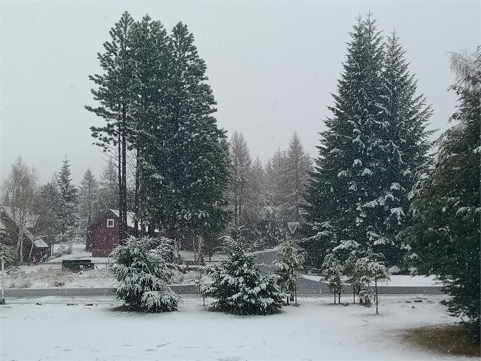 Front Yard, open section