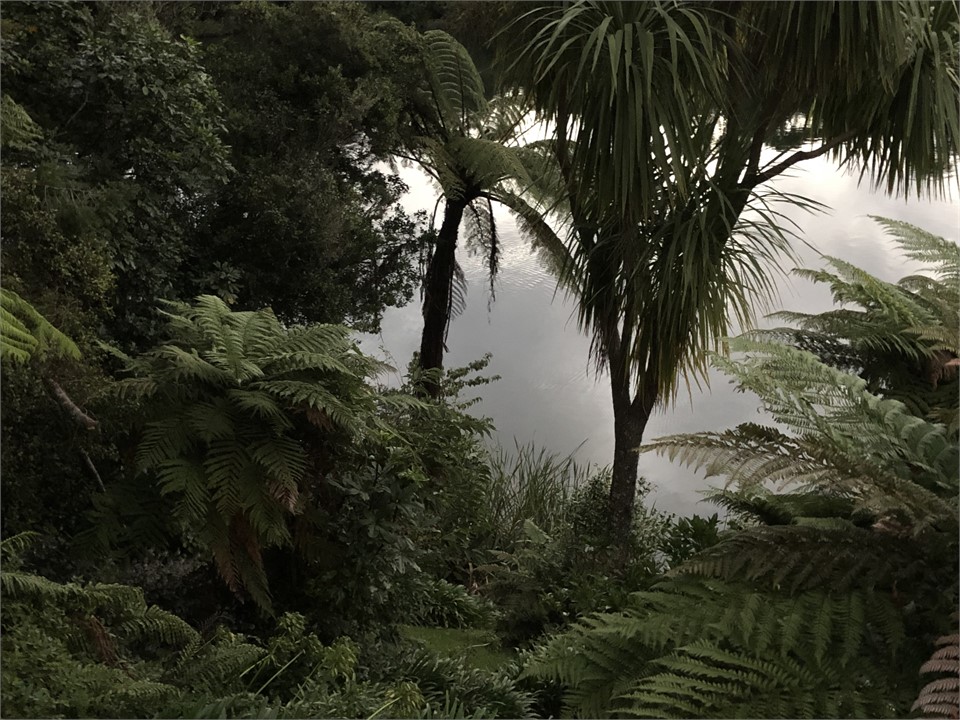 Morning view onto lake