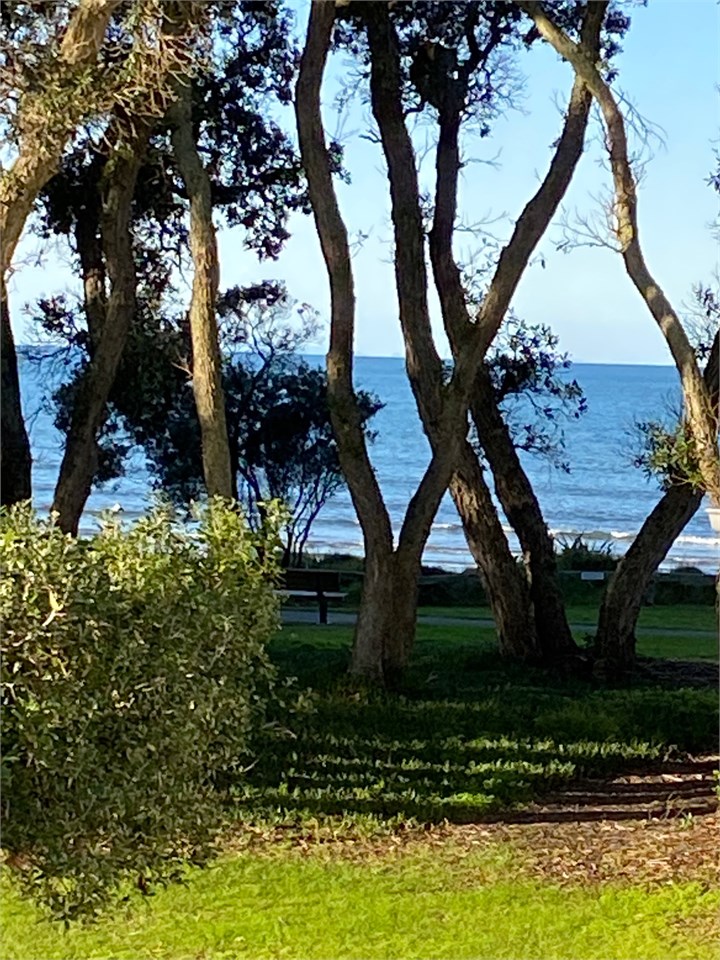 view from deck  and beach 15 paces across grass