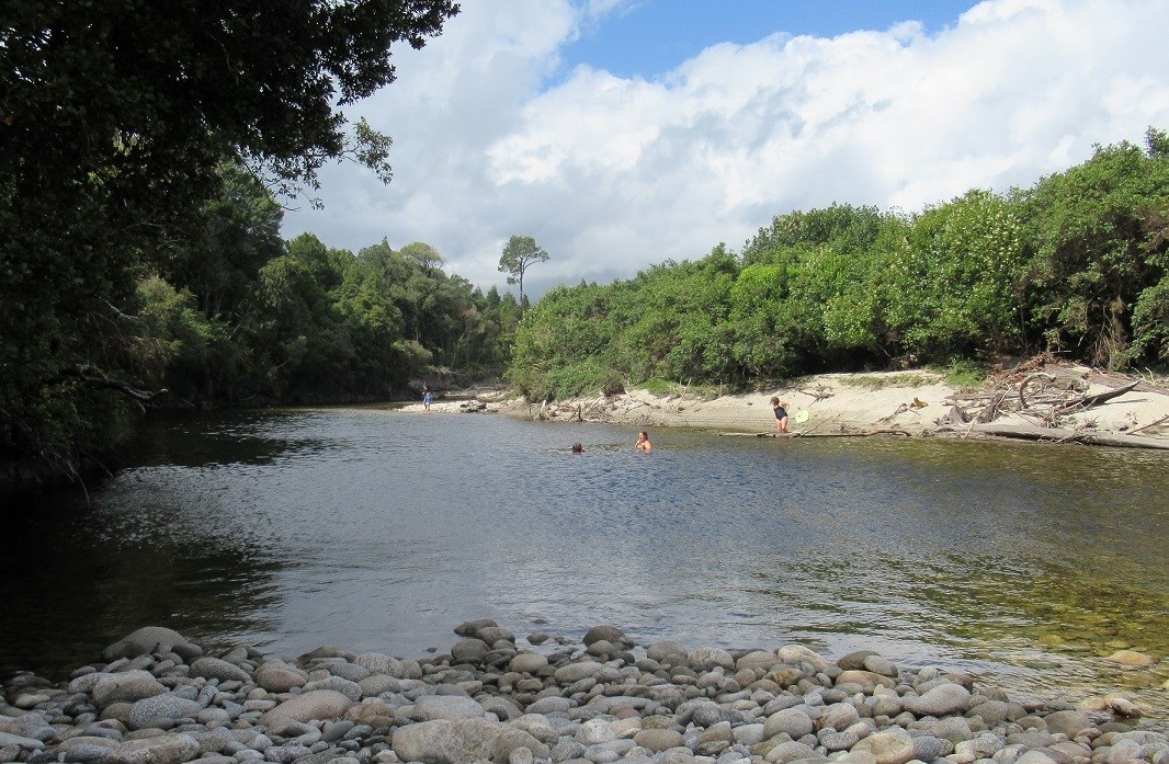 Glorious summer swimming in the Totara