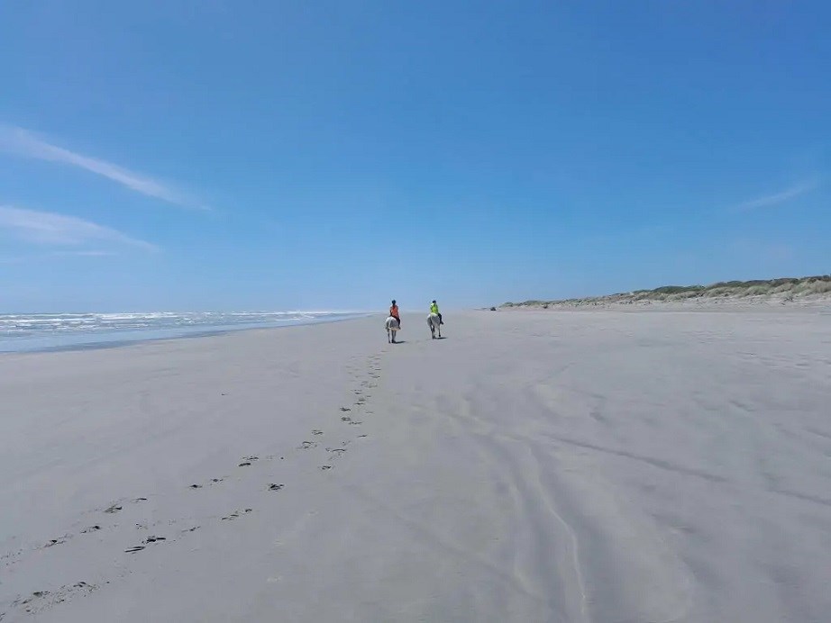 Horse riding for all levels, just 5 minutes away