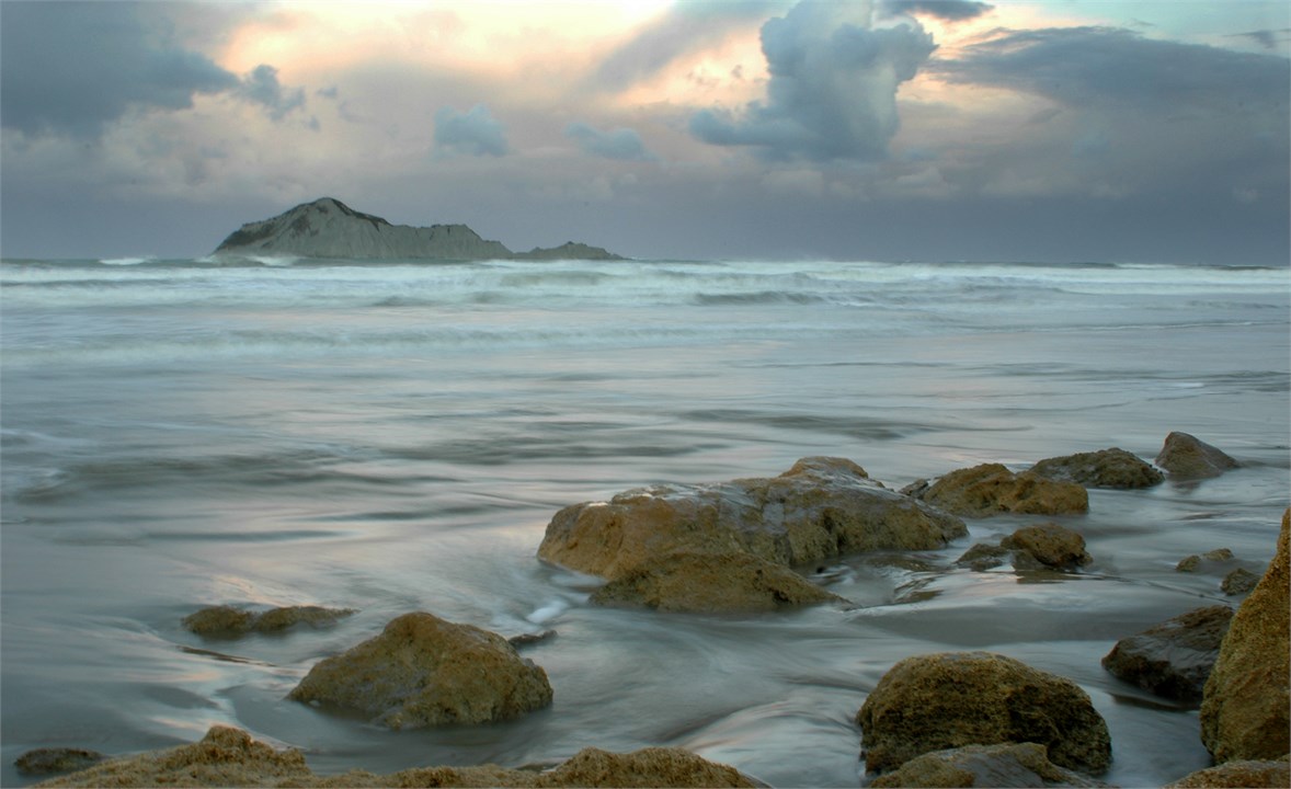 Te Motu a Kura - Bare Island is iconic just of the