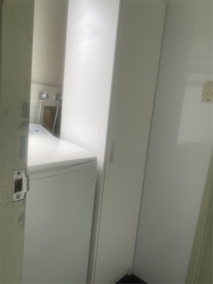 Auto washing machine and pantry cupboard