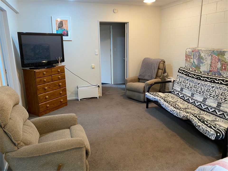 Downstairs Lounge and Fold Out Bed