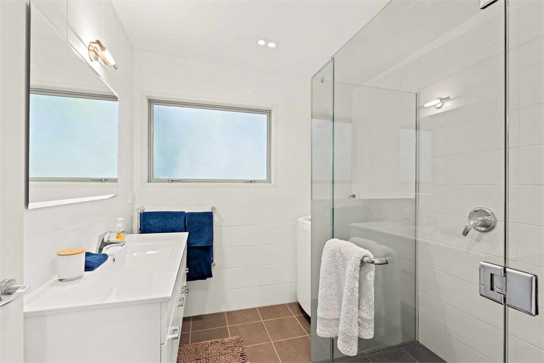 Lower level bathroom