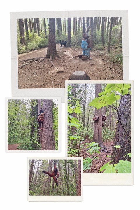 Forest sculpture walk