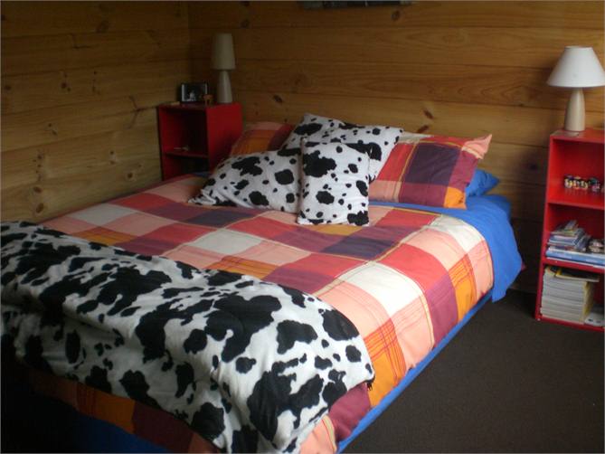 Downstairs Queen bedroom