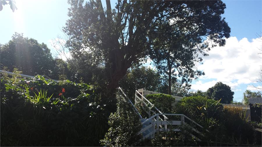 View from Master and Second Bedrooms windows