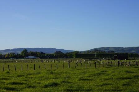 View to the Eastern hills from the lounge window