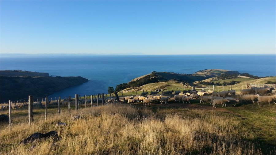 The views you can expect when you explore the area