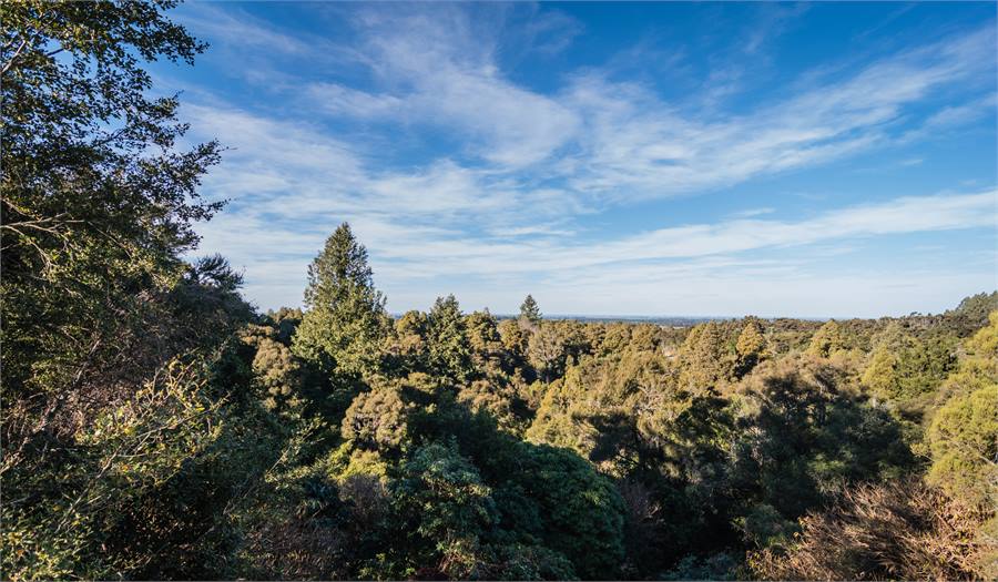 Soak in the breathtaking views