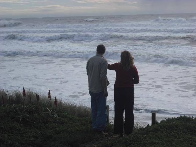 winter storm from lawn