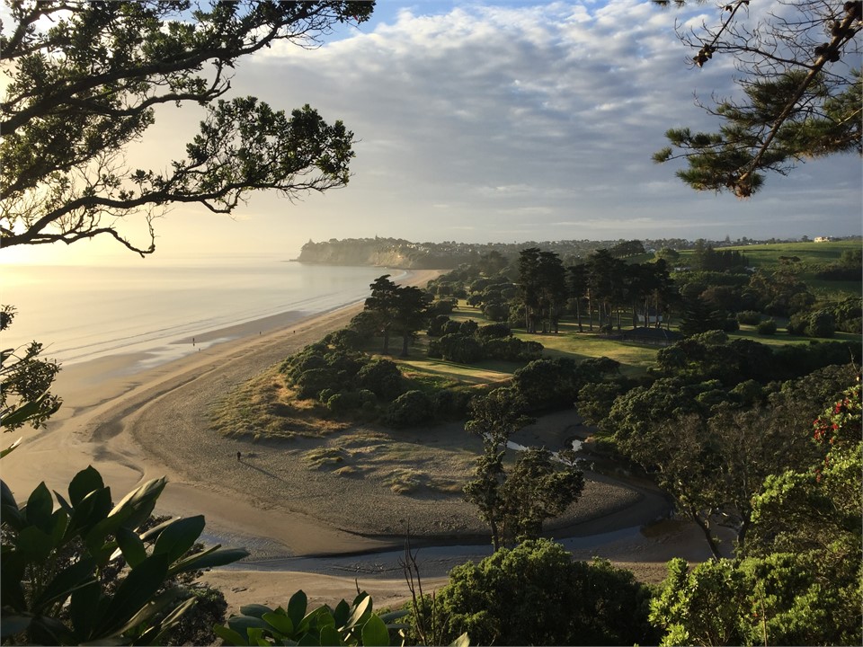 Coastal walkway - Long Bay beach & reserve.