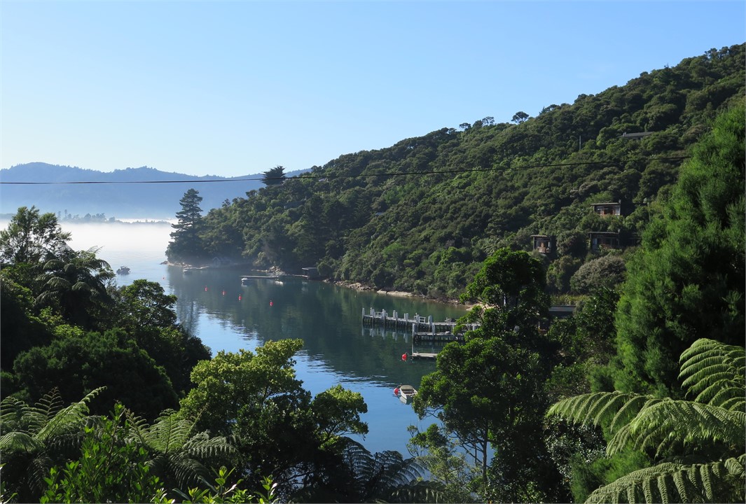 Early morning view from Cherith house