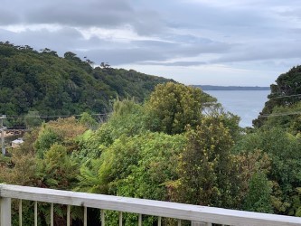 looking out from the upstairs patio