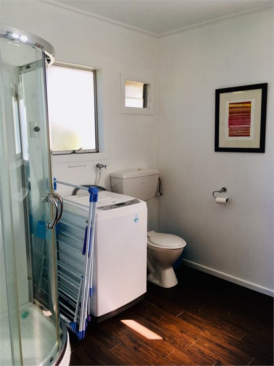 Bathroom (downstairs)