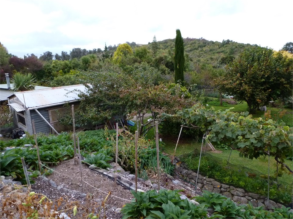 terraced permaculture gardens
