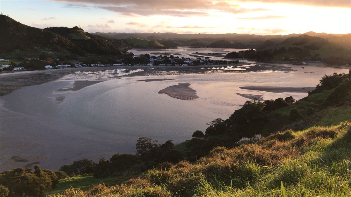 View over estuary from Mount Pataua