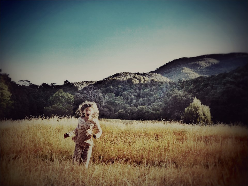 Autumn light At the boatshed