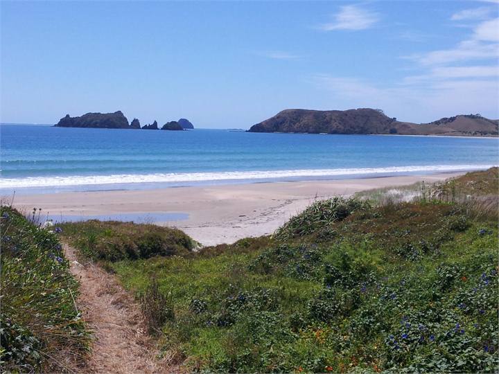 Beach in front of the bach