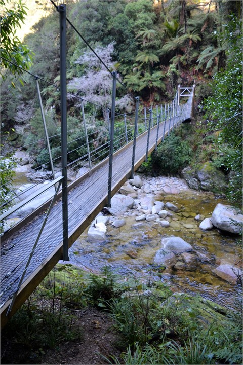 Suspension Bridge on Trail to Wainui Falls