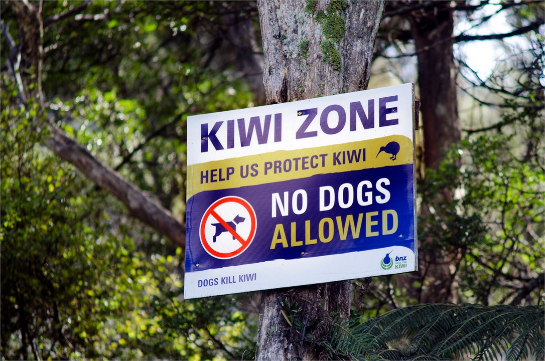 Waiotoi - The Kiwi Zone