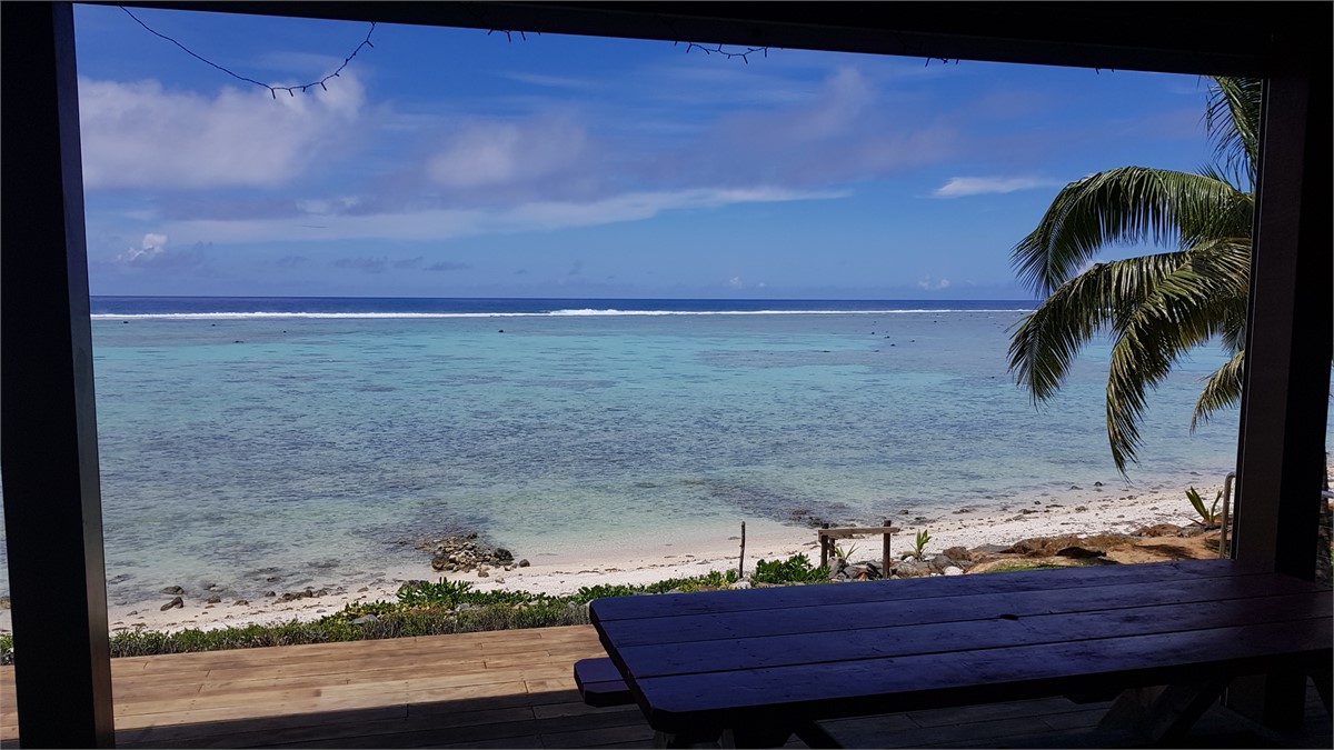 Check Out the View.....