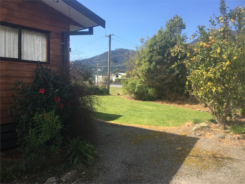 Lemon tree near the drive ready for all the fish.