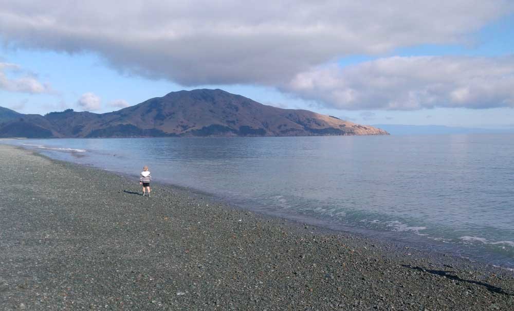Beach in front of the bach, looking towards Pepin