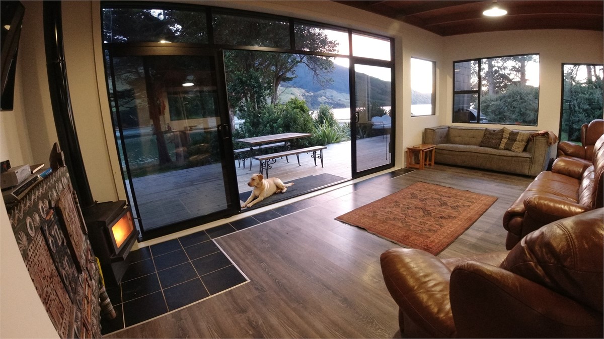 Ngaio the friendly lab will be over for a pat