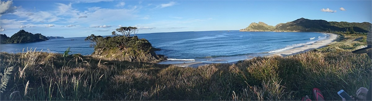 Medlands Beach Pano