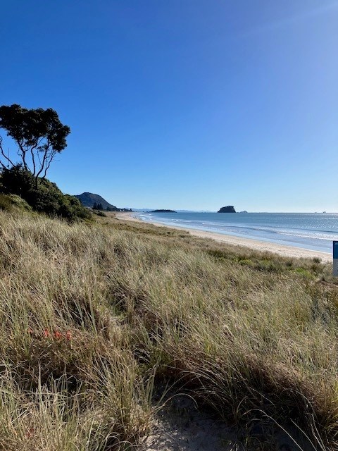 View looking back to Mt Maunganui from beach acces