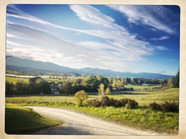 View from the cottage