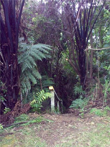 Track to Private Beach