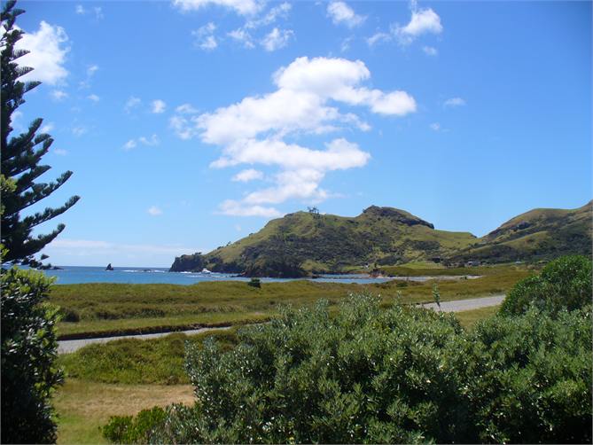 VIEW TO SHARK ALLEY - East