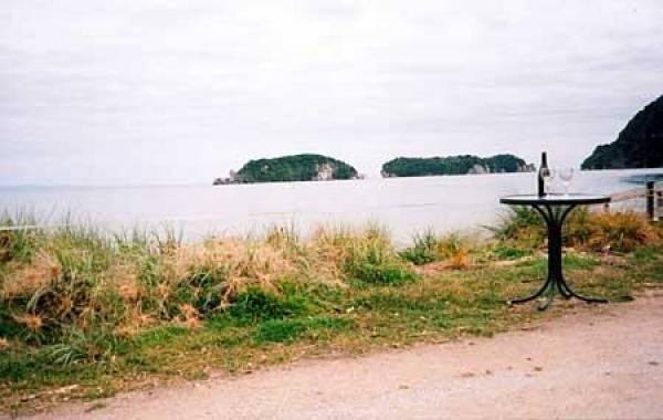 Enjoy a glass of wine with a view