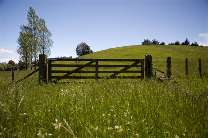Farm gate