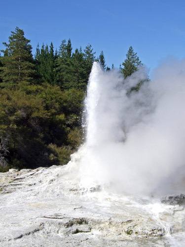 Lady Knox Geyser 5 mins drive away