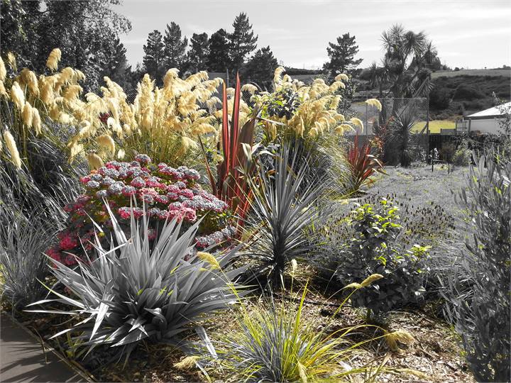 Just because I can play with photo technology