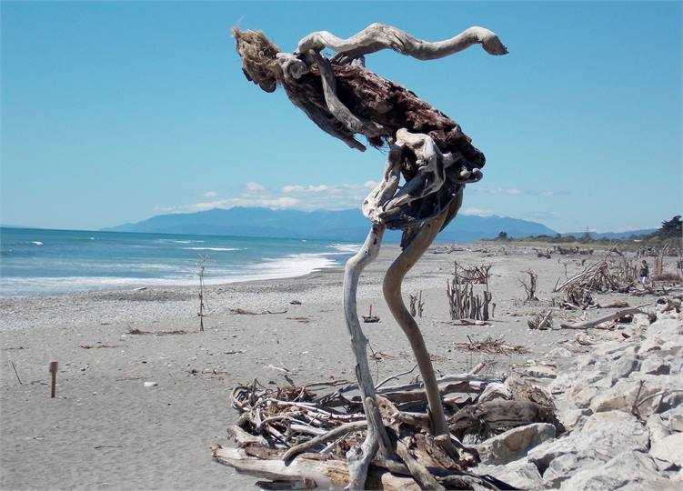 Check out the sculptures along the beach in summer