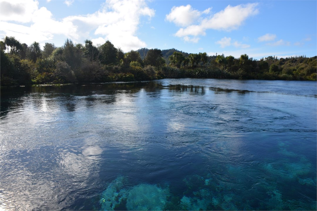 Te Waikoropupu (Pupu) Springs, 25 Minute Drive