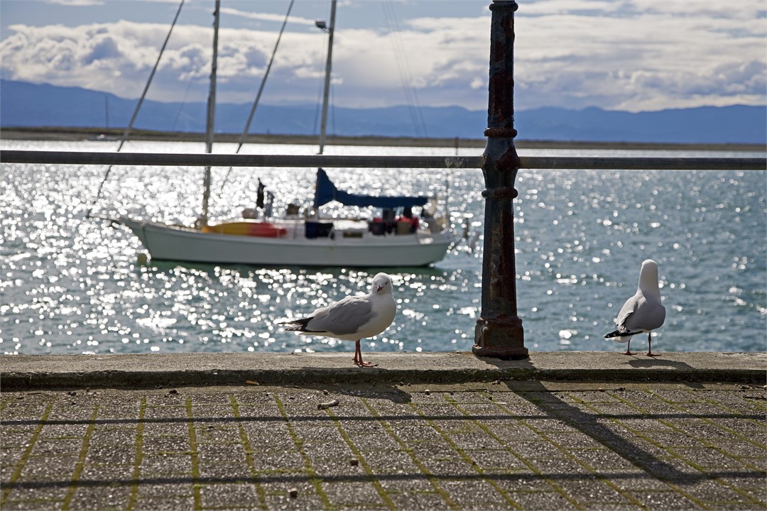 Boat on a mooring on the waterfront