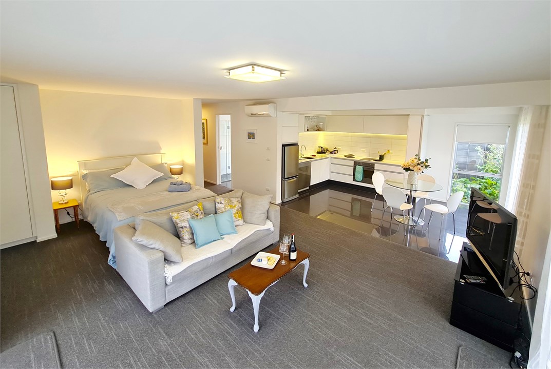 Mt Roy View Apartment Wanaka Apartment for rent Holiday Houses