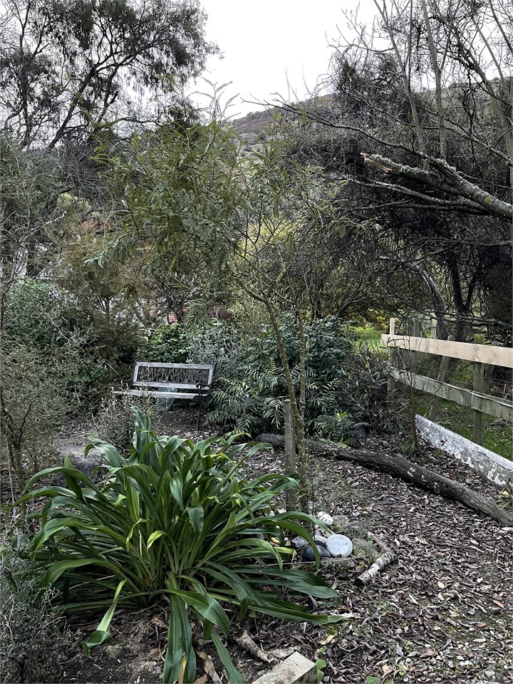 A quiet corner to sit, read and listen to the bird