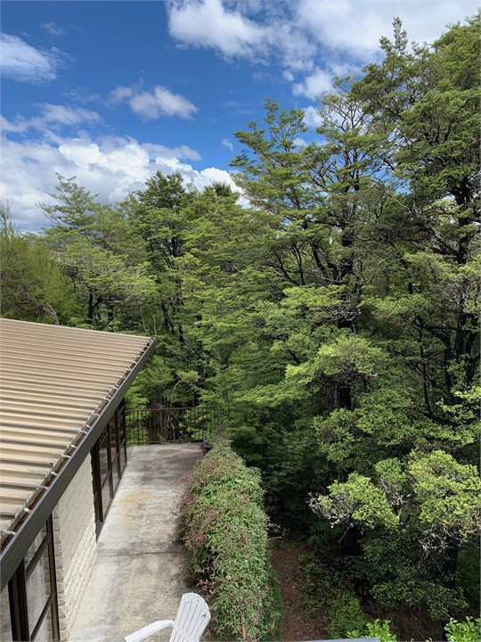 View from upper storey