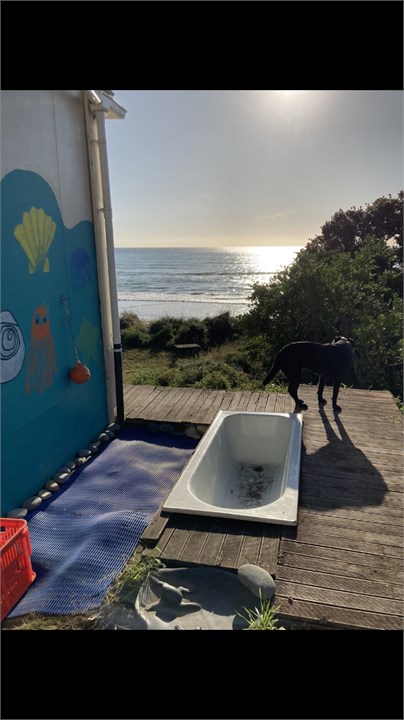 View From bathroom, dog not included in stay