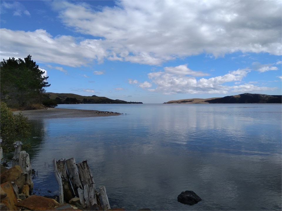 from bank in front of house