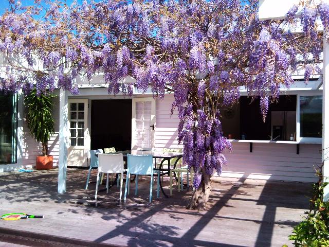 Deck outside kitchen