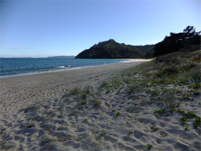 Kuaotunu Beach across the road to the right